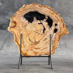 C - Wonderbaarlijke sliert versteend hout op op maat
