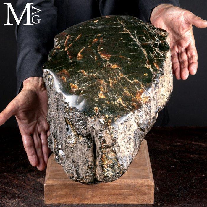 Ongelooflijke grootte - museumkwaliteit!!! Grote fossiele, Verzamelen, Mineralen en Fossielen