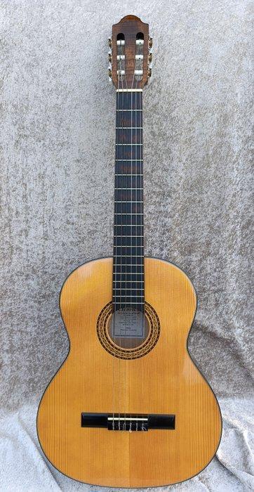 GEWA - Unknown - - Akoestische gitaar - Duitsland, Muziek en Instrumenten, Snaarinstrumenten | Gitaren | Akoestisch
