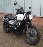 Triumph Bonneville, Thruxton,  Street Cup, Twin, Scrambler, Motoren