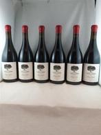 2022 Casal das Aires Pinot Noir - Tejo - 6 Flessen (0.75, Nieuw