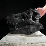 GEEN RESERVEPRIJS - Een replica van een dinosaurusschedel -