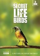 Secret life of birds (3dvd) - DVD, Cd's en Dvd's, Dvd's | Documentaire en Educatief, Verzenden, Nieuw in verpakking