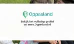 Georgiana zoekt een oppas in Wijchen voor 3 kinderen voor...
