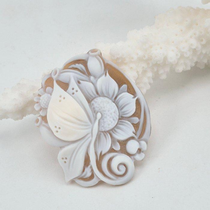 Conchiglia Cassis Madagascarensis - Cameo - Handgesneden, Antiek en Kunst, Curiosa en Brocante