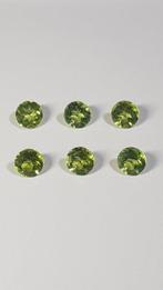 6 pcs  Groen Olivijn  - 7.78 ct - Antwerp Laboratory for, Sieraden, Tassen en Uiterlijk, Edelstenen, Nieuw