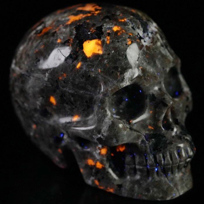 451 g 8,60 x 6,50 cm mooiste wereld zeldzaamheid Yooperlith, Verzamelen, Mineralen en Fossielen