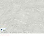 VISIO GRANDE TEGEL LAMINAAT 5 DECOR v.a. 16,95p/m2 Incl. btw