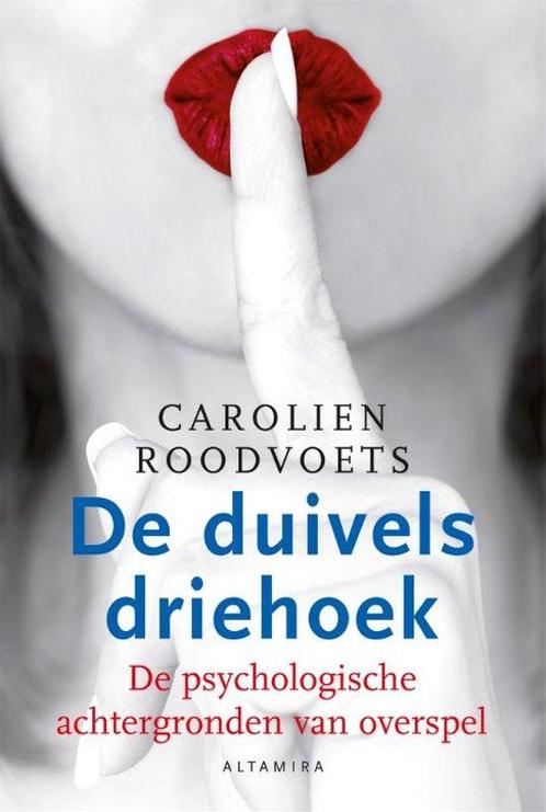 Boek: De duivelsdriehoek - (als nieuw), Boeken, Overige Boeken, Zo goed als nieuw, Verzenden