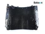 Radiateur Yamaha YZF 1000 R Thunder Ace 1996-2001 (YZF1000R, Verzenden, Gebruikt