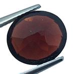 Zonder Minimumprijs - 1 pcs Rood Granaat - 5.43 ct -, Nieuw