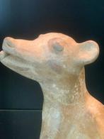 Jalisco toon Jalisco Hond, 18,5 cm met TL Analyse - 18.5 cm