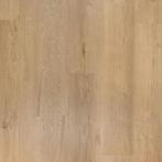 Douwes Dekker Ambitieus klikpvc 04867 Riante Plank, Ophalen of Verzenden, Nieuw, Overige kleuren, Overige typen