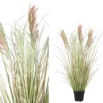 Kunstplant Pampas | PTMD Collection