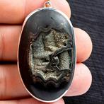 Juweel: Echo of Time, Gepyritiseerde Ammoniet. Taxidermie, Verzamelen, Mineralen en Fossielen