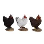 Staande kippen - Wit - Huis en tuindecoratie    - Buiten, Verzenden