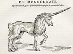 Gesner - De Quadrupedibus Viviparis. - 1551