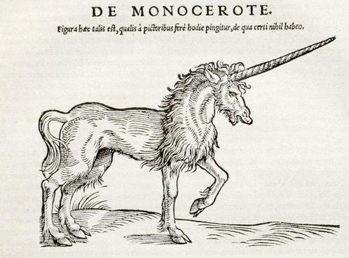 Gesner - De Quadrupedibus Viviparis. - 1551, Antiek en Kunst, Antiek | Boeken en Bijbels