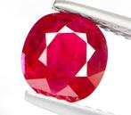 Zonder Minimumprijs Robijn - 1.42 ct - Bellerophon Gemlab -, Nieuw