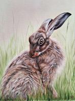 Mireille Both (1970) - Haas II