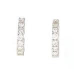 Zonder Minimumprijs - Oorbellen - 18 karaat Witgoud Diamant, Sieraden, Tassen en Uiterlijk, Oorbellen, Nieuw