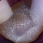 Natuurlijke Agaat Geode - Asbak Agaat Geode Asbak: Een