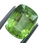 Zonder Minimumprijs - 1 pcs Groen Olivijn - 6.35 ct -, Sieraden, Tassen en Uiterlijk, Edelstenen, Nieuw