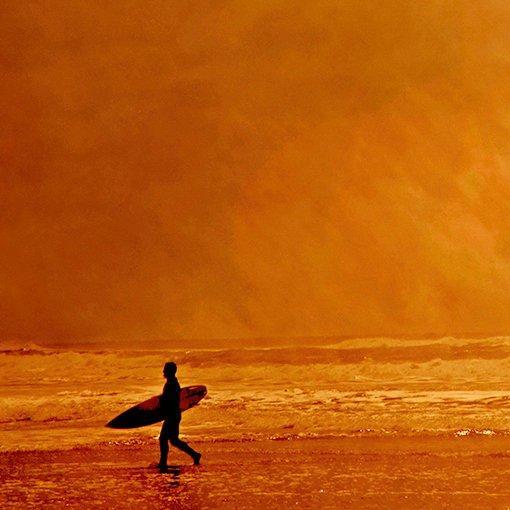 Roberto Cavalli - Into the wild / #527, Antiek en Kunst, Kunst | Designobjecten