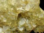 Fluorescerend fluoriet – Johannesschacht-mijn, Duitsland, Verzamelen, Mineralen en Fossielen