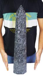 Massieve Larvikite Steen – Glinsterende zilver-blauwe