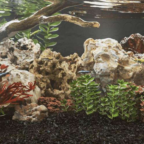 vidaXL Drakenstenen 10 kg 10-40 cm grijs, Dieren en Toebehoren, Overige Dieren-accessoires, Nieuw, Verzenden