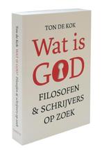 Wat is God? 9789068686333 Ton de Kok, Verzenden, Gelezen, Ton de Kok