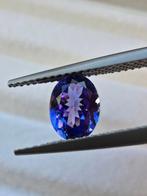 Blauw, Paars Tanzaniet - 1.38 ct - Antwerp Laboratory for, Nieuw