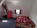 Kamer Zuider Parallelweg in Velp, Overige soorten, Gelderland