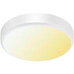 LED Plafondlamp met Sensor + Dag en Nacht Sensor - Brinton, Ophalen of Verzenden, Nieuw, Kunststof