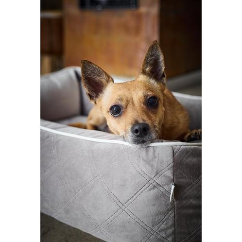 Klassiek hondenbed - OXFORD Taupe, Huis en Inrichting, Woonaccessoires | Wanddecoraties, Nieuw, Verzenden