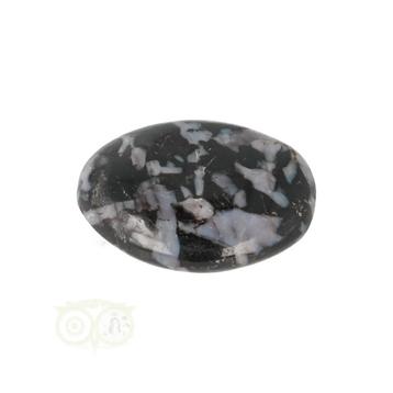 Gabbro Merliniet zaksteen  Nr 12 - 19 gram - Madagaskar beschikbaar voor biedingen