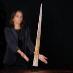 Xiphias Gladius Taxidermie volledige montage - Swordfish, Nieuw