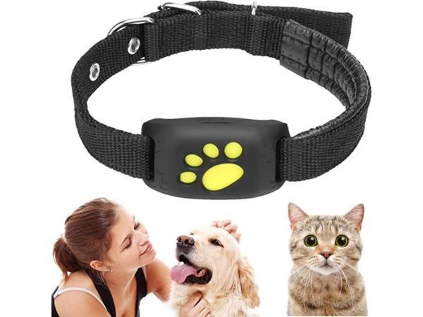 Veiling - GPS Tracker voor Hond &amp; Kat - 2G sim - Zonder, Dieren en Toebehoren, Overige Dieren-accessoires