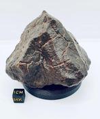 Niet-geclassificeerde NWA meteoriet Chondrite meteoriet -, Verzamelen