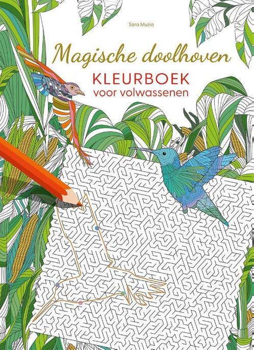 Magische doolhoven - kleurboek voor volwassenen, Boeken, Hobby en Vrije tijd, Zo goed als nieuw, Verzenden