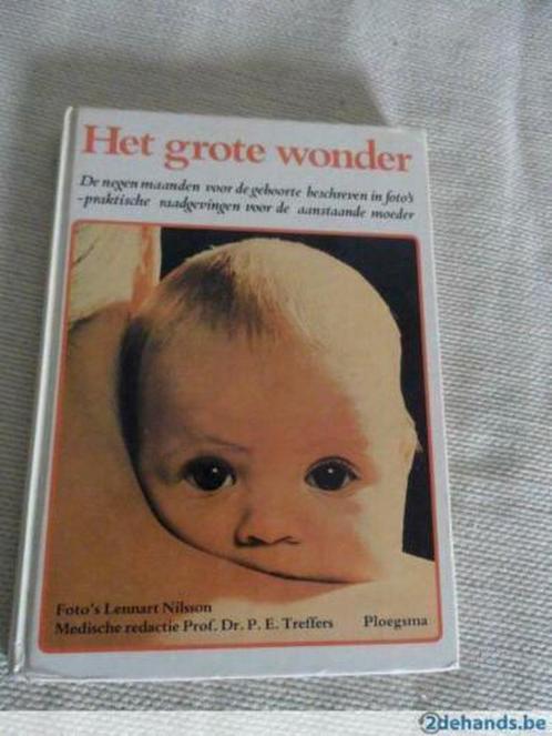 Het grote wonder 9789021607764 Nilsson, Boeken, Zwangerschap en Opvoeding, Gelezen, Verzenden