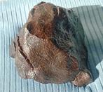 Chondriet Chondrite meteoriet - 139 g - (1), Verzamelen, Mineralen en Fossielen