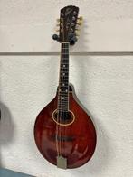 Vintage Gibson A3 mandoline, Muziek en Instrumenten, Snaarinstrumenten | Mandolines, Ophalen, Gebruikt
