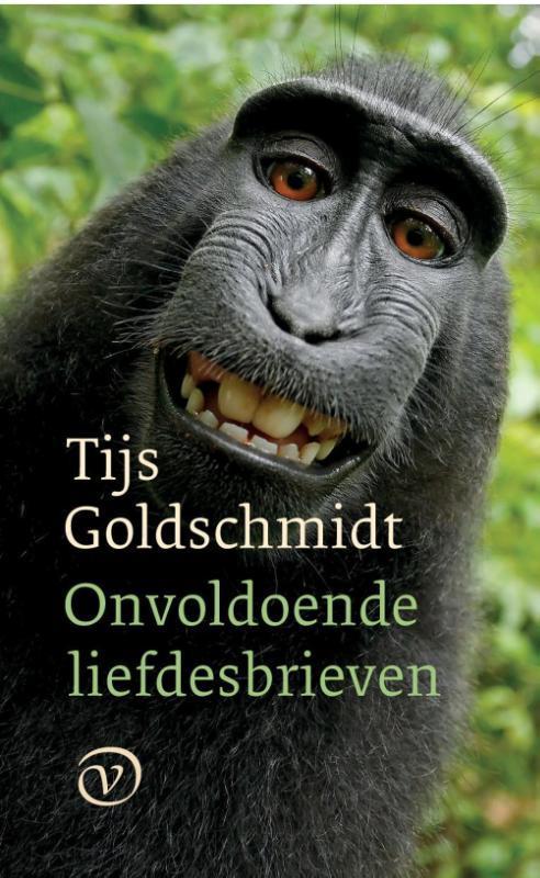 Onvoldoende liefdesbrieven 9789028291003 Tijs Goldschmidt, Boeken, Overige Boeken, Gelezen, Verzenden
