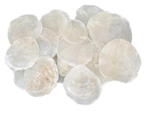 Capiz Camar schelpen 1 kilo +/-1000 gram, Hobby en Vrije tijd, Knutselen, Nieuw, Ophalen of Verzenden
