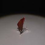 Paleolithisch Vuursteen Bijl of stenen werktuig uit, Antiek en Kunst