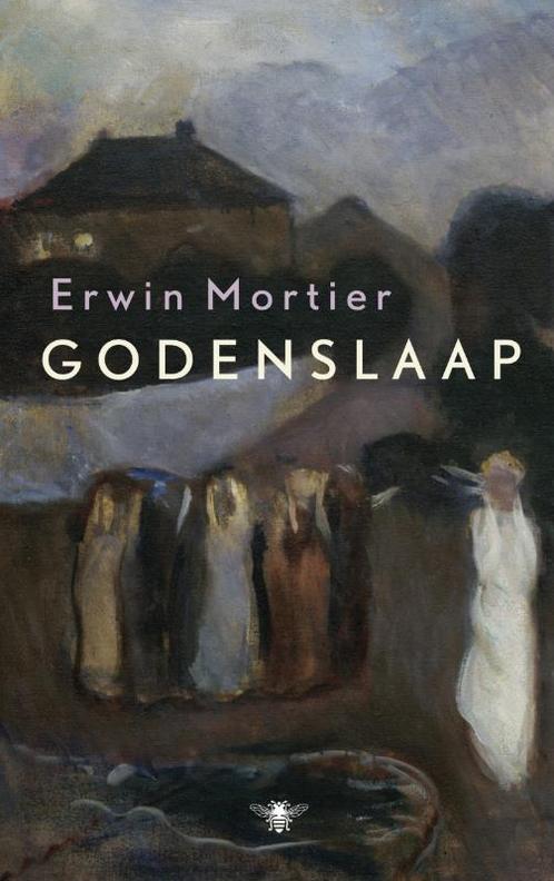 Godenslaap 9789023459729 Erwin Mortier, Boeken, Romans, Gelezen, Verzenden
