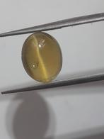 Natural green Apatite - cats eye - 4.08 ct - oval - unheate, Nieuw