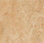 Forbo Marmoleum Real 3075 shell, Verzenden, Nieuw